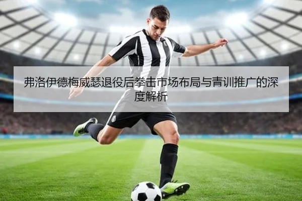 弗洛伊德梅威瑟退役后拳击市场布局与青训推广的深度解析